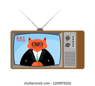 Cat news old tv. Pet Live broadcasting. Animal broadcasting journalist. Beast Anchorman in tv studio. 