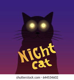 cat, night