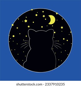 The cat and the night sky