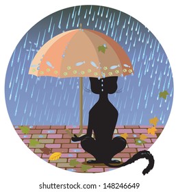 Cat at night with an umbrella in the rain