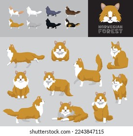 Cat Norwegian Forest Cartoon Vector Illustration Color Variation Set