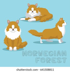 Cat Norwegian Forest Cartoon Vector Illustration