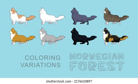 Cat Norwegian Forest Coloring Variations Vector Illustration