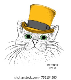 A cat in old hat. Background for advertising or inscriptions.Vector illustration.