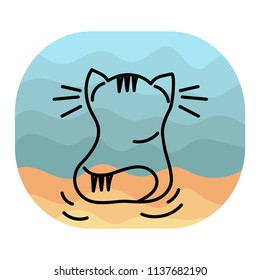 cat on the beach