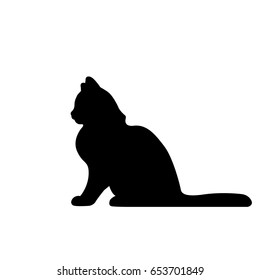 cat on black background, vector