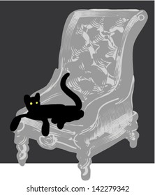 Cat on chair