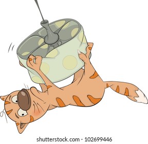 Cat on a chandelier