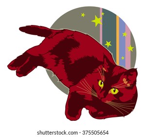 A cat on a colorful background 