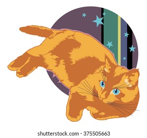 A cat on a colorful background 