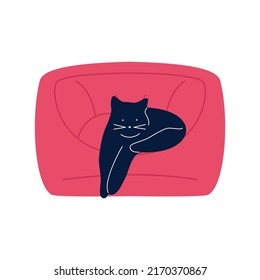 Cat On Comfy Chair. Cat Sleeping Cozy Armchair, Happy Playful Pet, Domestic Animal Flat Drawing. Vector Modern Art
