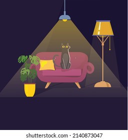 Cat on the couch in the living room. Interior in night