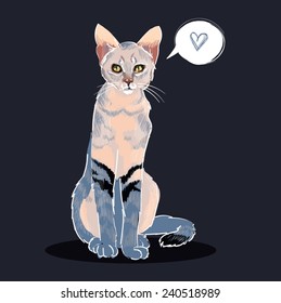 cat on a dark background