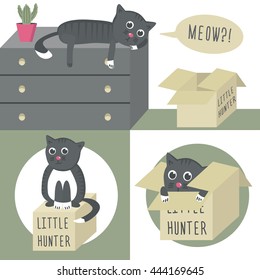 The cat on the dresser. Little hunter. The cat in the box. Vector illustration.