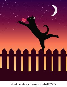 cat on a fence on sunset background with flower