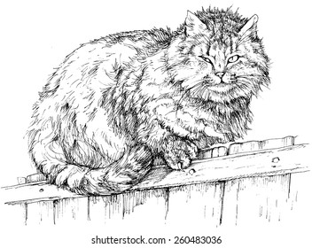 Cat on a fence  - vector illustration isolated on white, stylized as engraving 