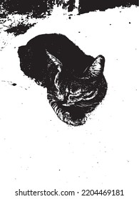The Cat On The Floor