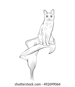 Cat on flower concept. Hand Draw Vector Illustration. Isolated On White Background