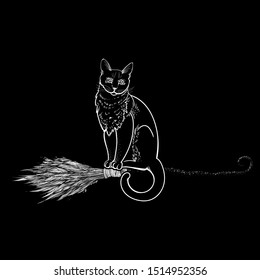 Cat on a flying broom. Halloween stickers. Illustration for all saints ' day. Attributes of magical power, coven, witchcraft, magic. Mystical Tattoo witchcraft. Souvenirs. Bad omen.  Totem good luck.