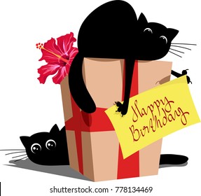 cat on a gift box