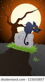 Cat on a Grave Stone