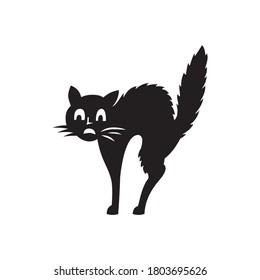 cat on the halloween day