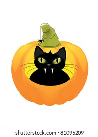 cat on a Halloween pumpkin.