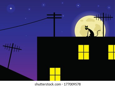 Cat on a house roof against the moon