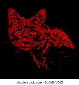 Cat on isolated background. Photorealistic vector.