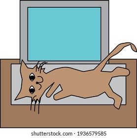 A cat is on the keyboard of a laptop