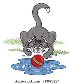 A cat on the lawn plays with the ball. The ball hit a puddle and spattered from it .