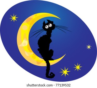 cat on moon