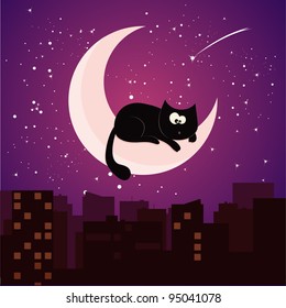 cat on moon