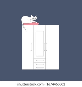 CAT ON THE PILLOW ON THE CLOSET