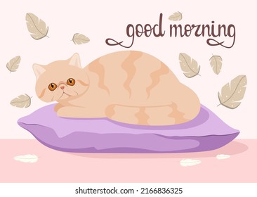 A cat on a pillow with feathers. Good morning. Postcard. Cartoon design.
