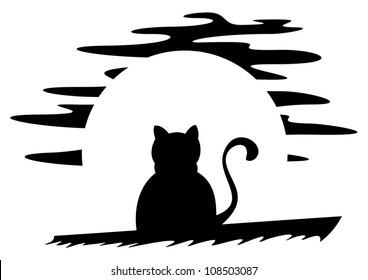 Cat on roof