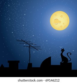 Cat on rooftop, at night with a starry night and full moon.