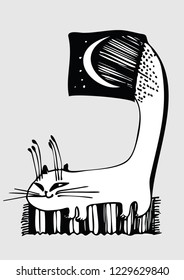 cat on the rug under the moon