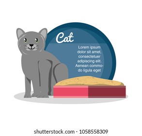 cat on sandbox icon