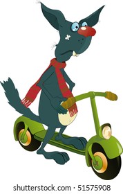 Cat on a skateboard