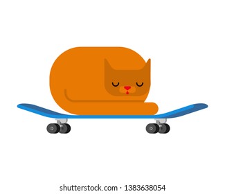 Cat on skateboard. Pet on board. Kitten Skateboarder
