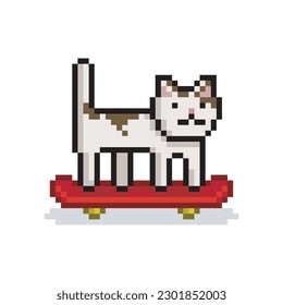 Cat on skateboard, pixel art meme