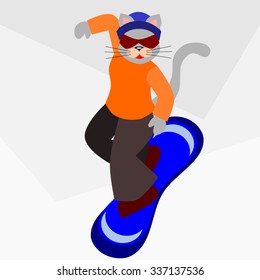 A cat on a snowboard