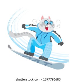 Cat on a snowboard, vector character on a white background