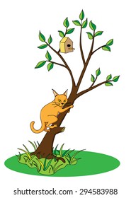 Cat on a tree