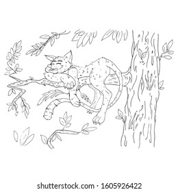 Cat on a tree. Vector illustration of a cat with a long tail on a tree. Hand drawn wild cat on a branch.