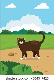 Cat on a walk