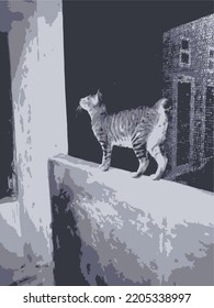 The Cat On The Wall