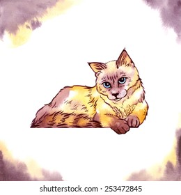 Cat on watercolor background