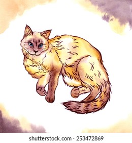 Cat on watercolor background